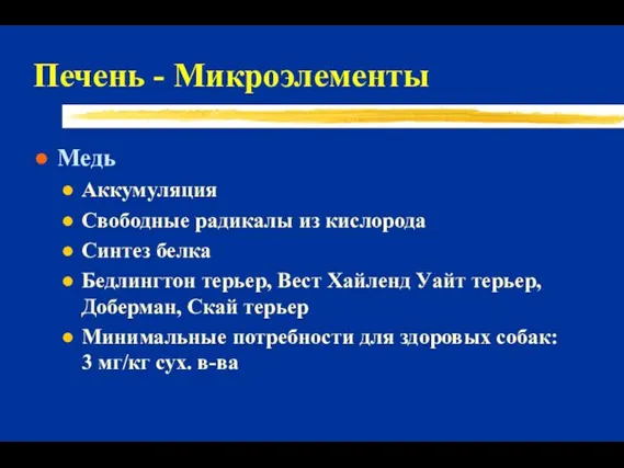 Печень - Микроэлементы Медь Аккумуляция Свободные радикалы из кислорода Синтез