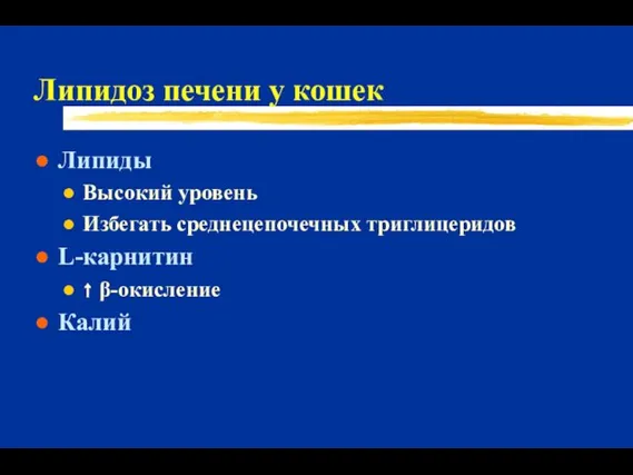 Липидоз печени у кошек Липиды Высокий уровень Избегать среднецепочечных триглицеридов L-карнитин ↑ β-окисление Калий