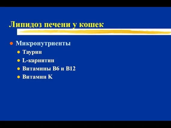 Липидоз печени у кошек Микронутриенты Таурин L-карнитин Витамины B6 и B12 Витамин K