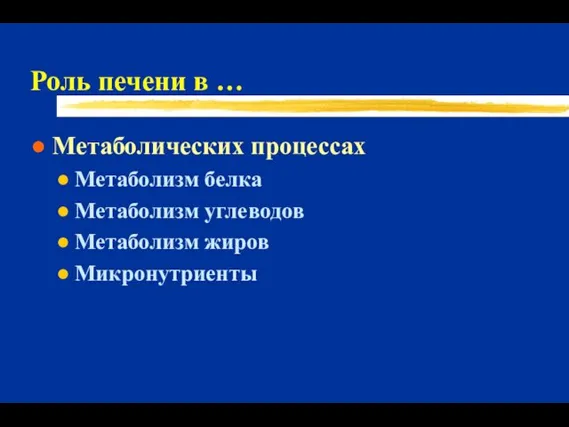 Роль печени в … Метаболических процессах Метаболизм белка Метаболизм углеводов Метаболизм жиров Микронутриенты