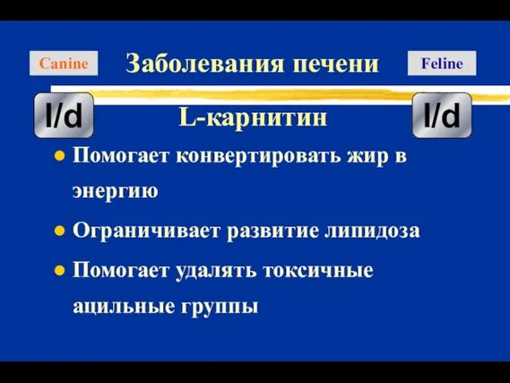 Помогает конвертировать жир в энергию Ограничивает развитие липидоза Помогает удалять