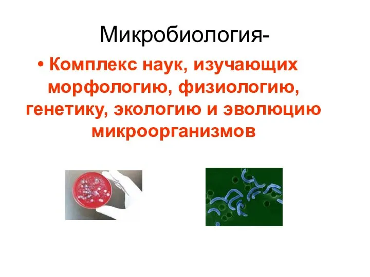Микробиология- Комплекс наук, изучающих морфологию, физиологию, генетику, экологию и эволюцию микроорганизмов
