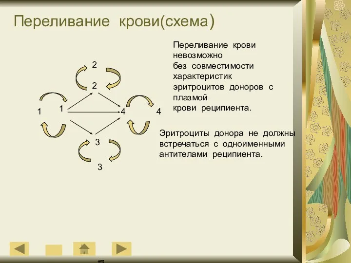 Переливание крови(схема) 2 2 1 4 3 4 1 3