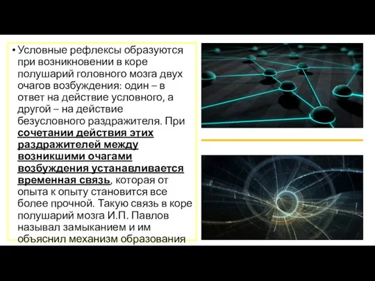 Условные рефлексы образуются при возникновении в коре полушарий головного мозга