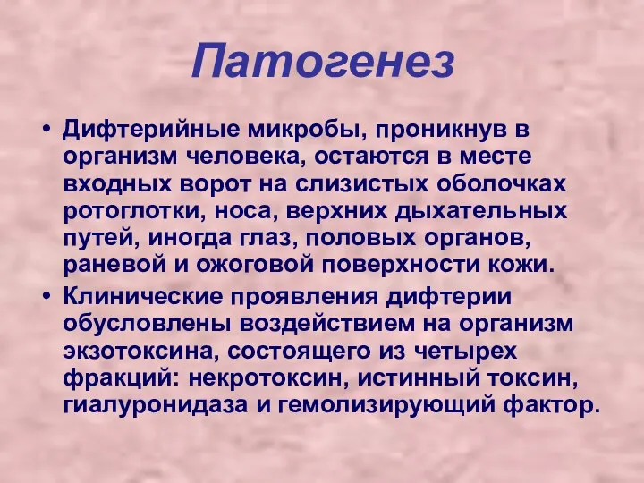 Патогенез Дифтерийные микробы, проникнув в организм человека, остаются в месте