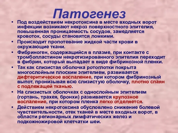 Патогенез Под воздействием некротоксина в месте входных ворот инфекции возникают