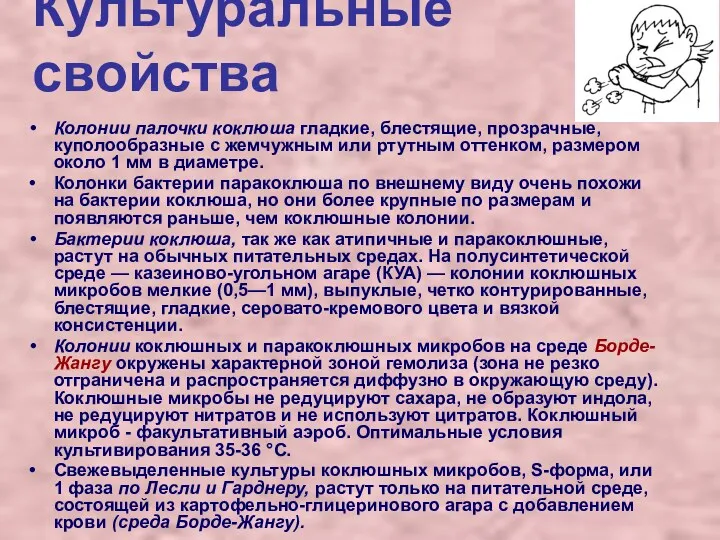 Культуральные свойства Колонии палочки коклюша гладкие, блестящие, прозрачные, куполообразные с