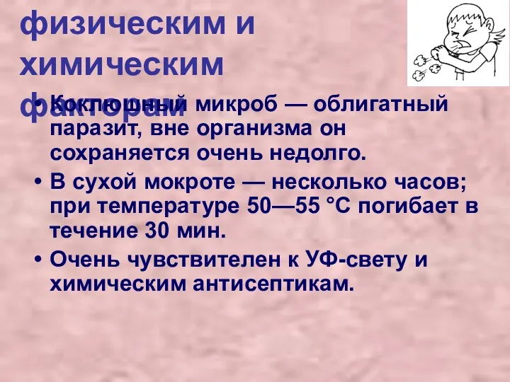 Устойчивость к физическим и химическим факторам Коклюшный микроб — облигатный