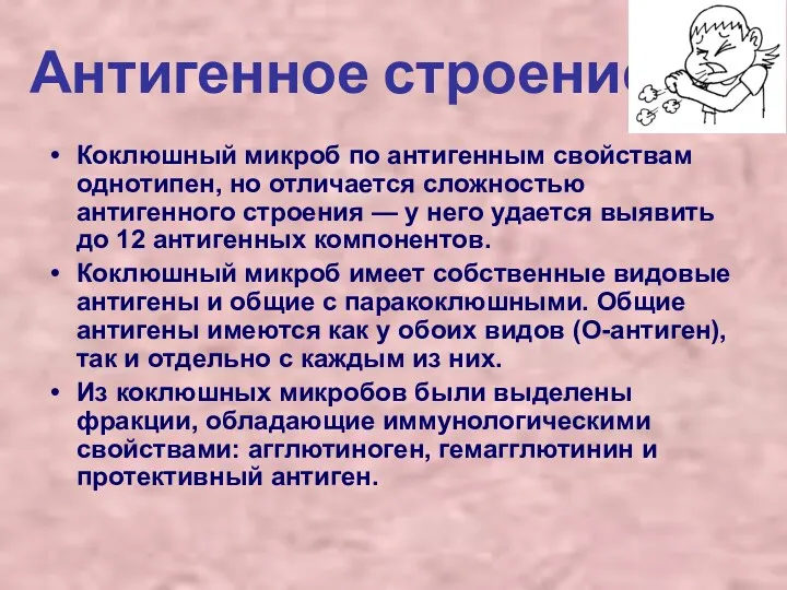 Антигенное строение Коклюшный микроб по антигенным свойствам однотипен, но отличается