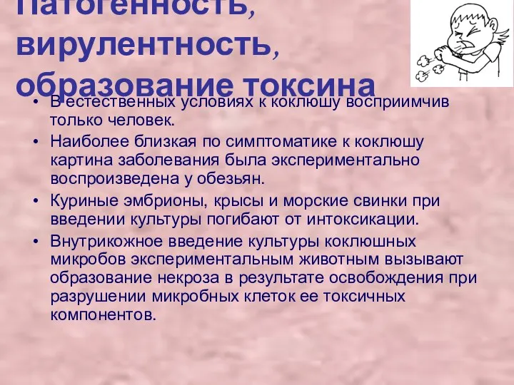 В естественных условиях к коклюшу восприимчив только человек. Наиболее близкая