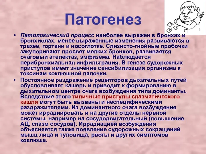 Патогенез Патологический процесс наиболее выражен в бронхах и бронхиолах, менее