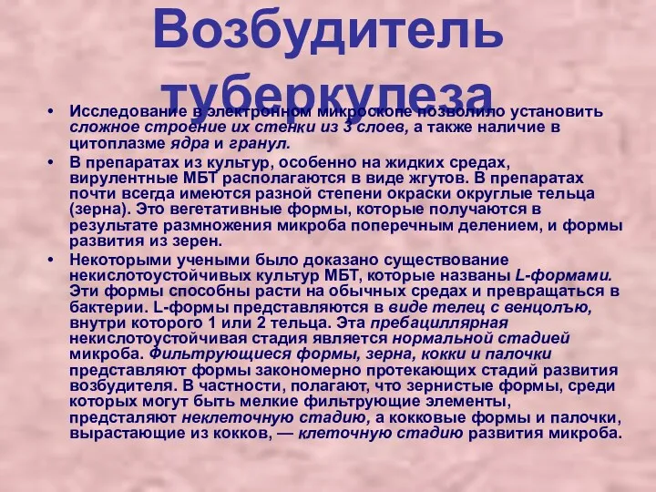 Возбудитель туберкулеза Исследование в электронном микроскопе позволило установить сложное строение