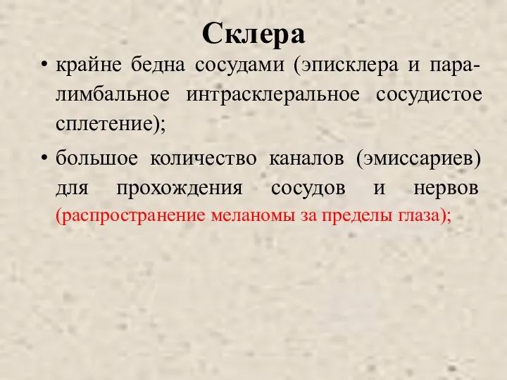 Склера крайне бедна сосудами (эписклера и пара-лимбальное интрасклеральное сосудистое сплетение);