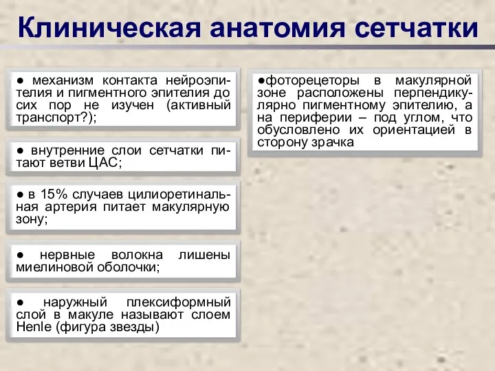 Клиническая анатомия сетчатки ● механизм контакта нейроэпи-телия и пигментного эпителия