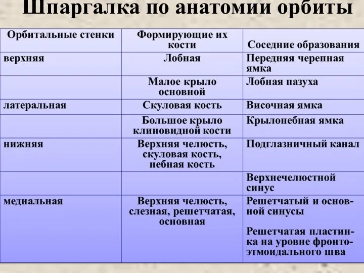 Шпаргалка по анатомии орбиты