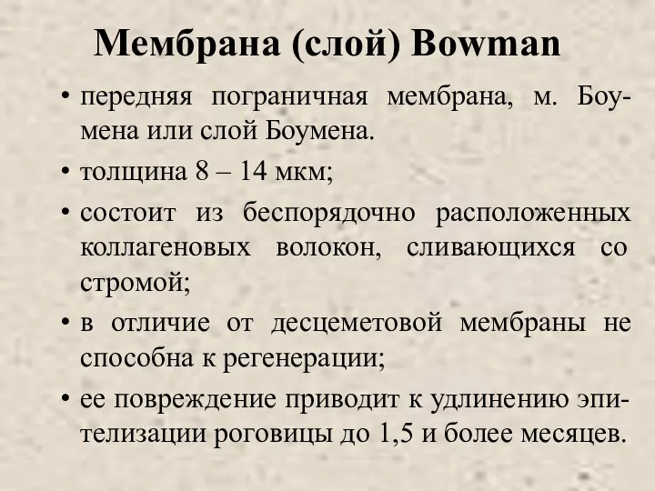 Мембрана (слой) Bowman передняя пограничная мембрана, м. Боу-мена или слой Боумена. толщина 8