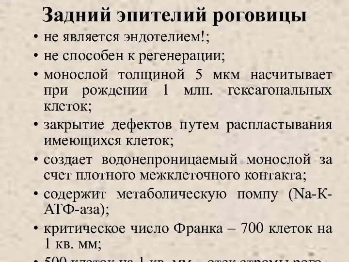 Задний эпителий роговицы не является эндотелием!; не способен к регенерации;