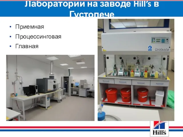 Приемная Процессинговая Главная Лаборатории на заводе Hill’s в Густопече