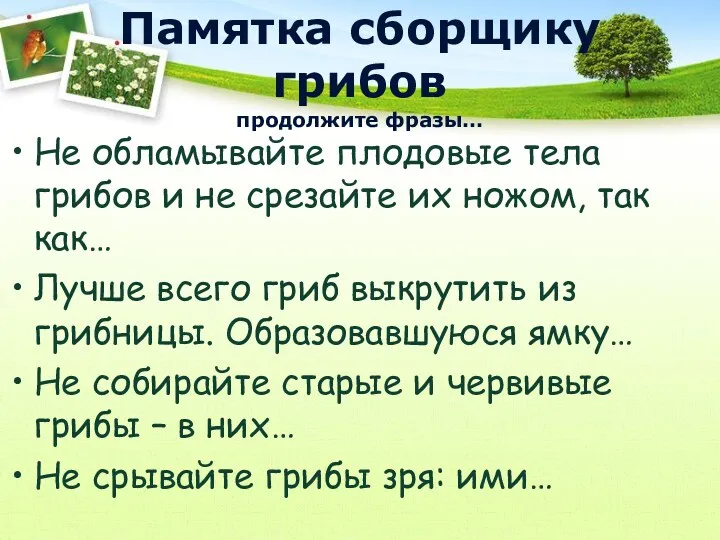 Памятка сборщику грибов продолжите фразы… Не обламывайте плодовые тела грибов