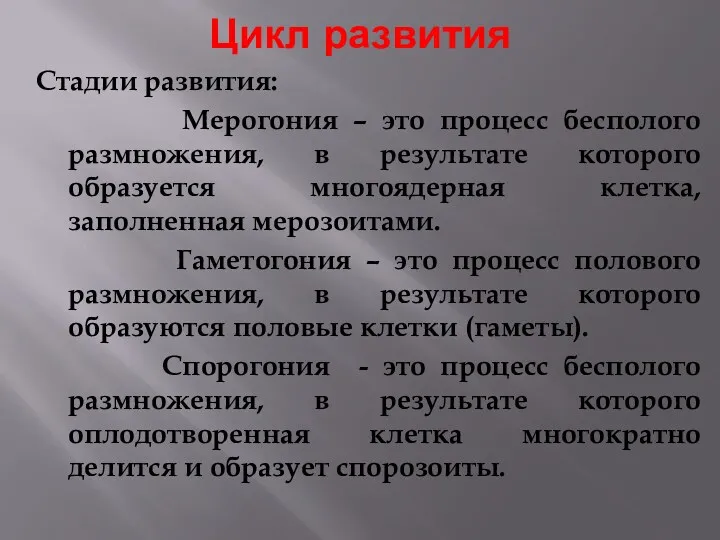 Цикл развития Стадии развития: Мерогония – это процесс бесполого размножения,