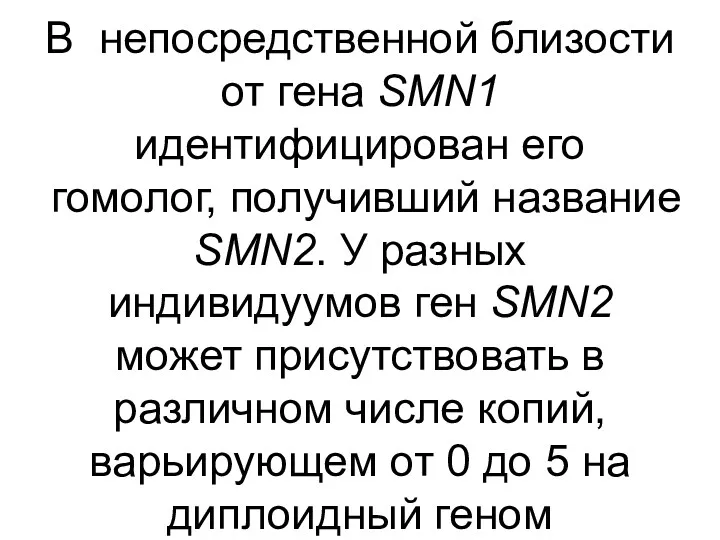 В непосредственной близости от гена SMN1 идентифицирован его гомолог, получивший