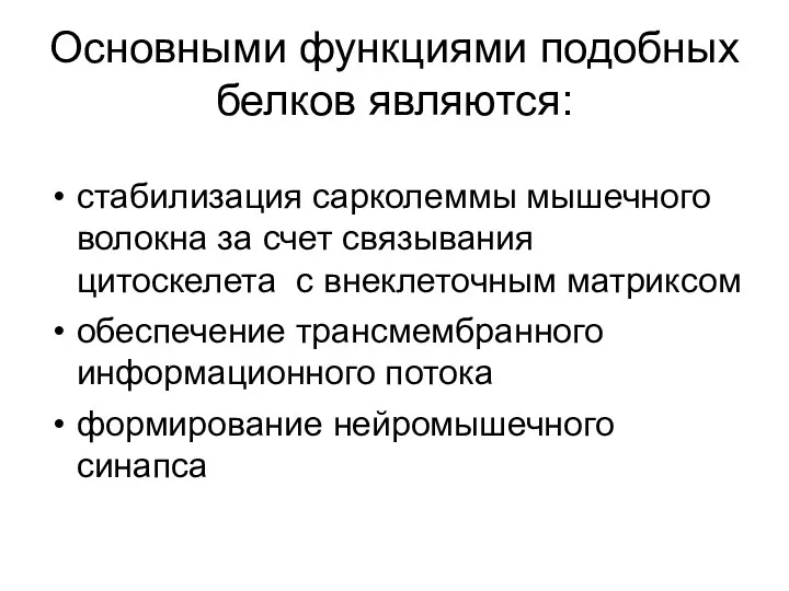 Основными функциями подобных белков являются: стабилизация сарколеммы мышечного волокна за