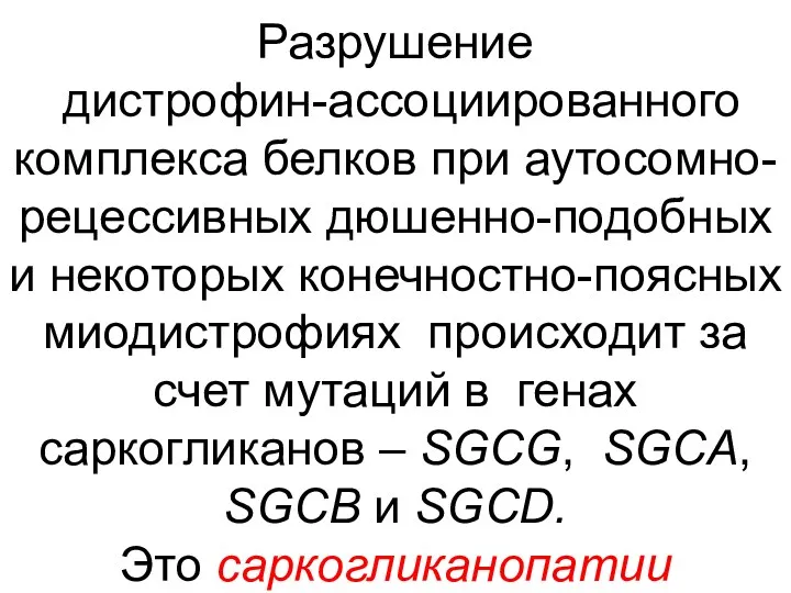 Разрушение дистрофин-ассоциированного комплекса белков при аутосомно-рецессивных дюшенно-подобных и некоторых конечностно-поясных