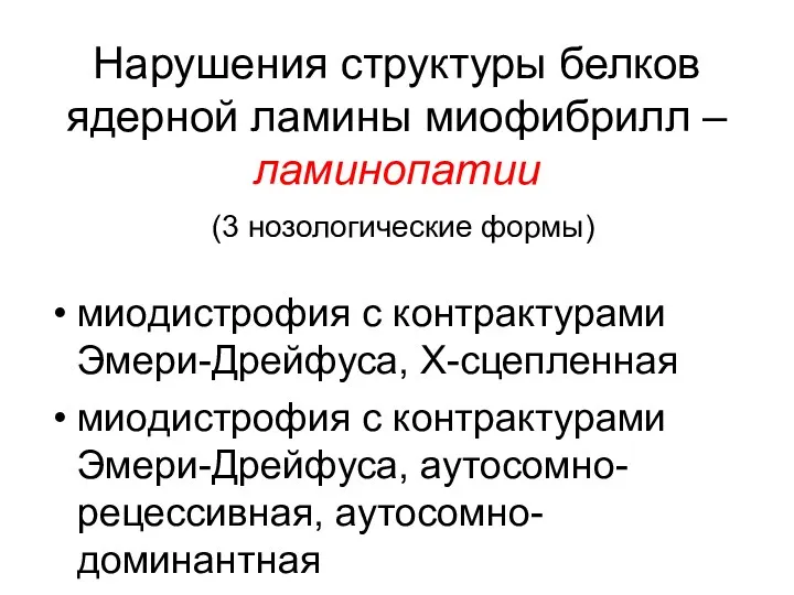 Нарушения структуры белков ядерной ламины миофибрилл – ламинопатии (3 нозологические