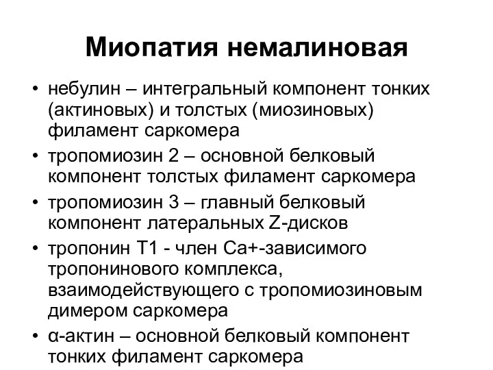 Миопатия немалиновая небулин – интегральный компонент тонких (актиновых) и толстых