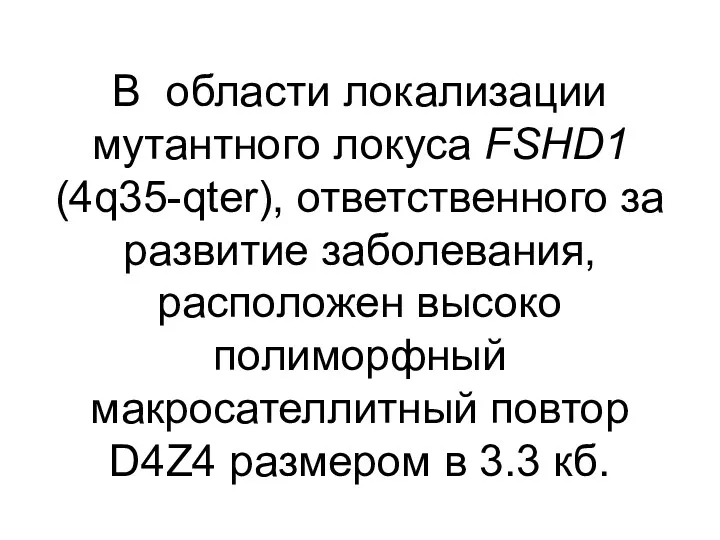 В области локализации мутантного локуса FSHD1 (4q35-qter), ответственного за развитие