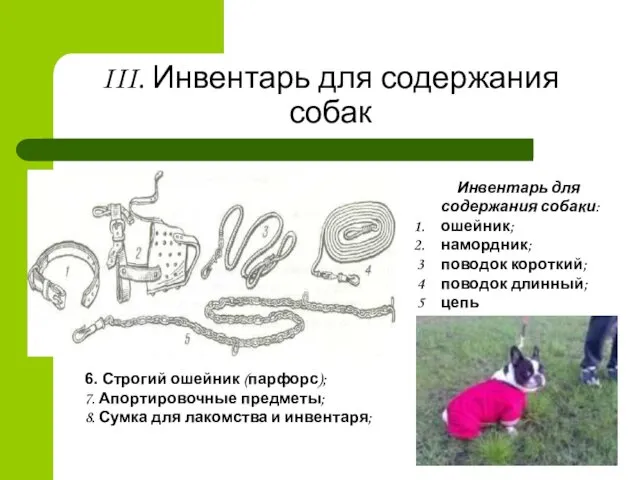 III. Инвентарь для содержания собак Инвентарь для содержания собаки: ошейник; намордник; поводок короткий;
