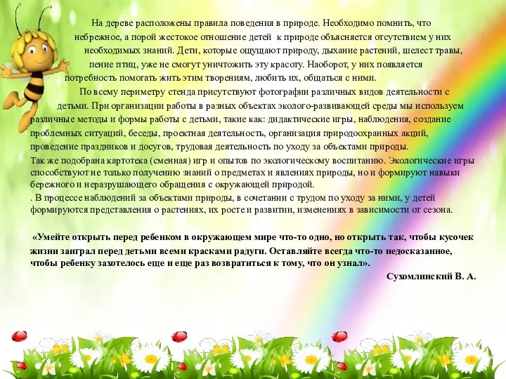 На дереве расположены правила поведения в природе. Необходимо помнить, что