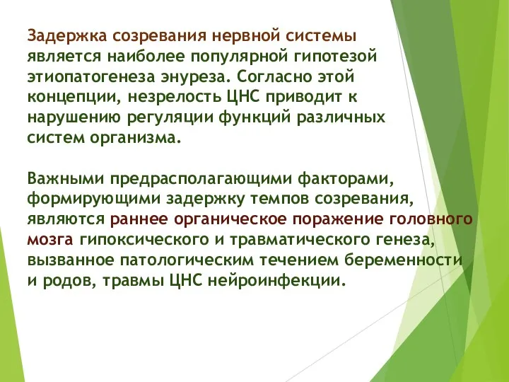 Задержка созревания нервной системы является наиболее популярной гипотезой этиопатогенеза энуреза. Согласно этой концепции,