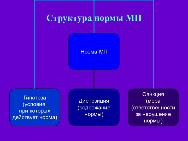 Структура нормы МП