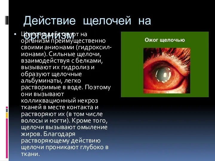 Действие щелочей на организм Щелочи действуют на организм преимущественно своими анионами (гидроксил-ионами). Сильные