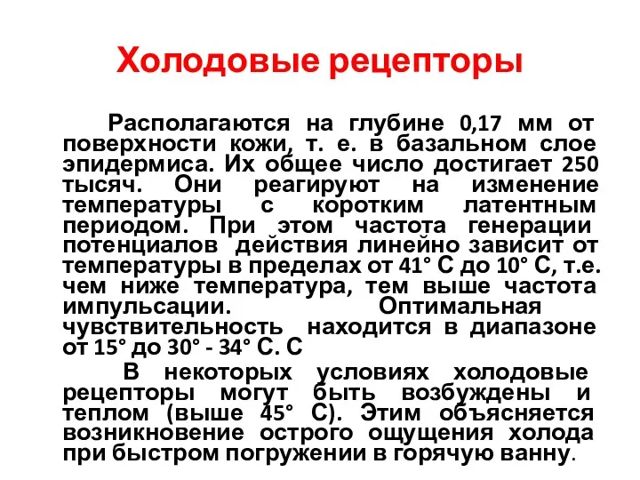 Холодовые рецепторы Располагаются на глубине 0,17 мм от поверхности кожи,