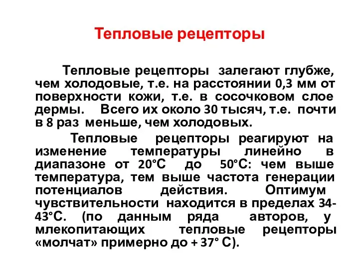 Тепловые рецепторы Тепловые рецепторы залегают глубже, чем холодовые, т.е. на