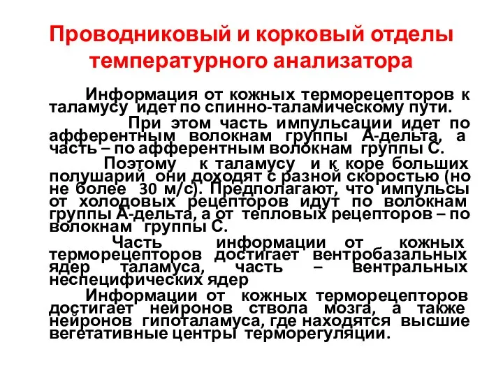 Проводниковый и корковый отделы температурного анализатора Информация от кожных терморецепторов