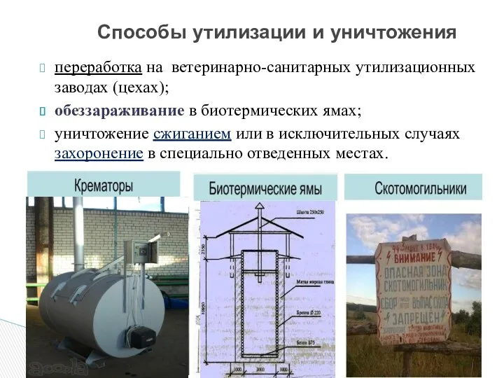 переработка на ветеринарно-санитарных утилизационных заводах (цехах); обеззараживание в биотермических ямах;