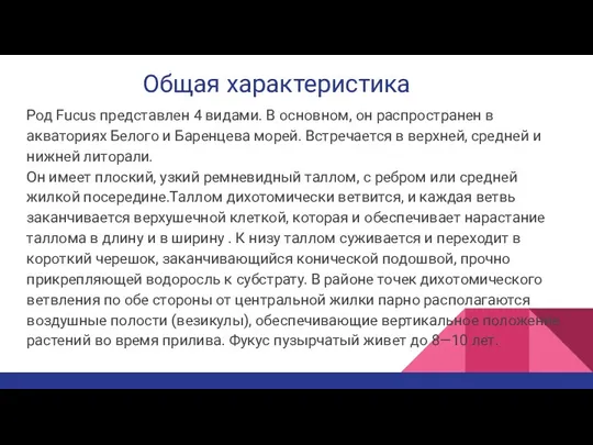 Общая характеристика Род Fucus представлен 4 видами. В основном, он