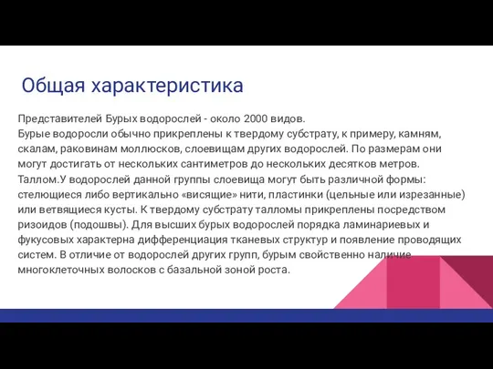 Общая характеристика Представителей Бурых водорослей - около 2000 видов. Бурые