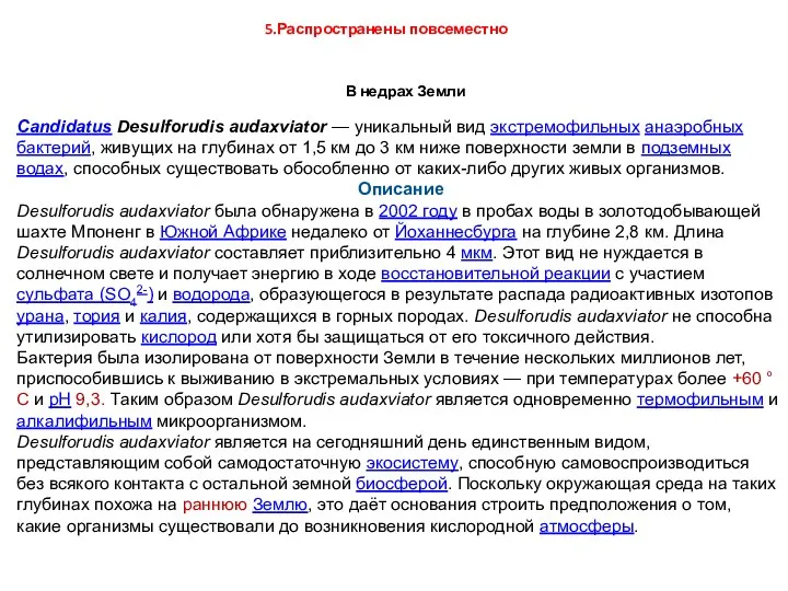 Candidatus Desulforudis audaxviator — уникальный вид экстремофильных анаэробных бактерий, живущих