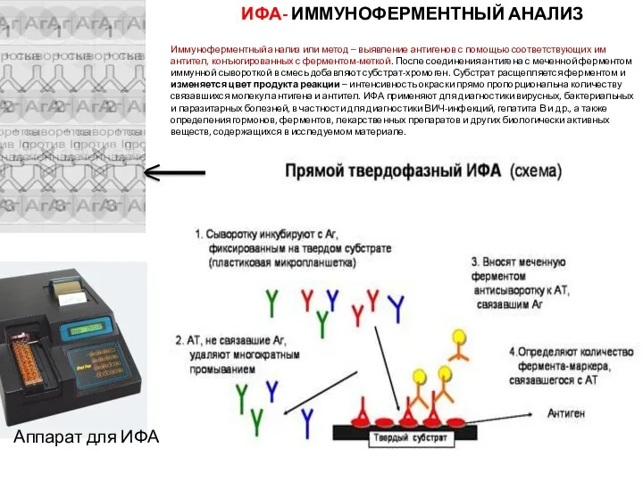 ИФА- ИММУНОФЕРМЕНТНЫЙ АНАЛИЗ Иммуноферментный анализ или метод – выявление антигенов