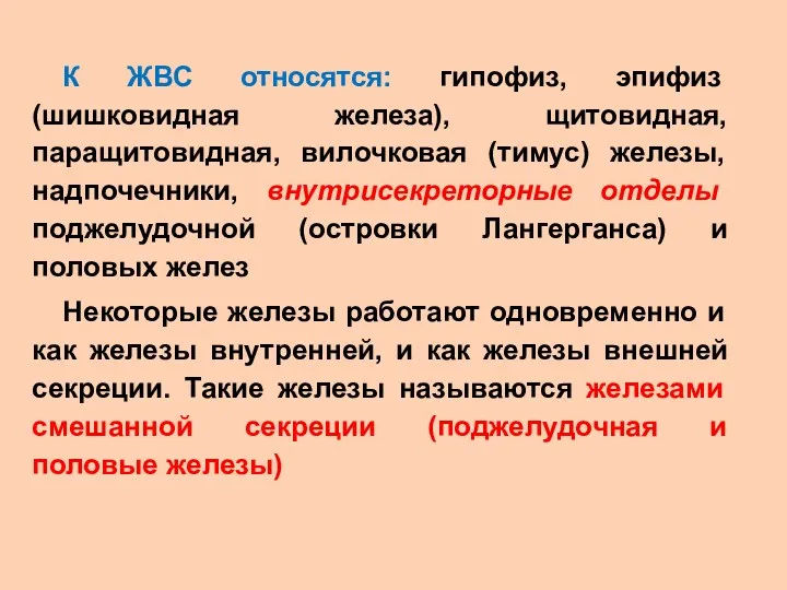 К ЖВС относятся: гипофиз, эпифиз (шишковидная железа), щитовидная, паращитовидная, вилочковая