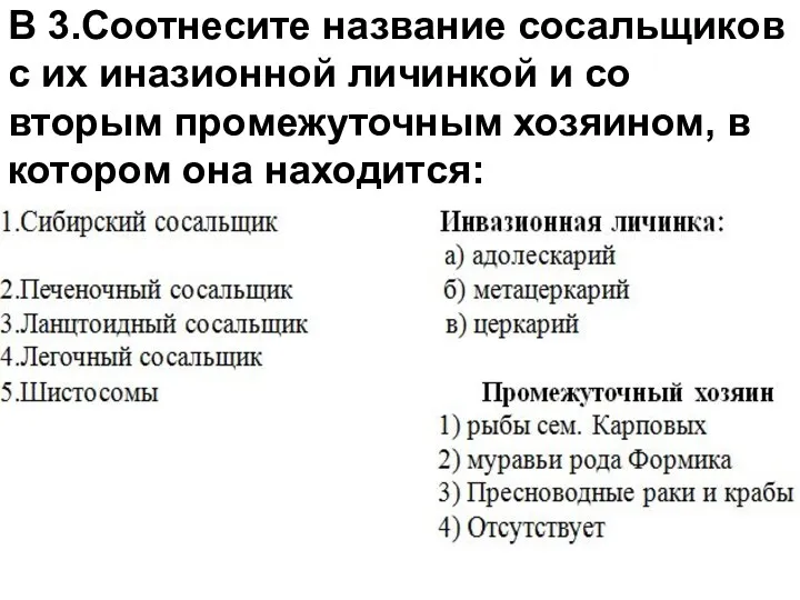 В 3.Соотнесите название сосальщиков с их иназионной личинкой и со