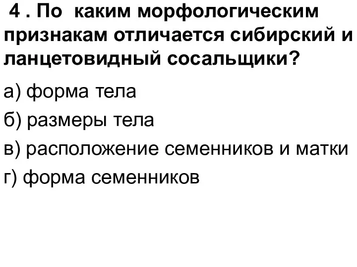 4 . По каким морфологическим признакам отличается сибирский и ланцетовидный