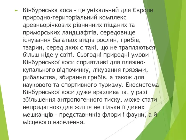 Кінбурнська коса – це унікальний для Європи природно-територіальний комплекс древньорічкових