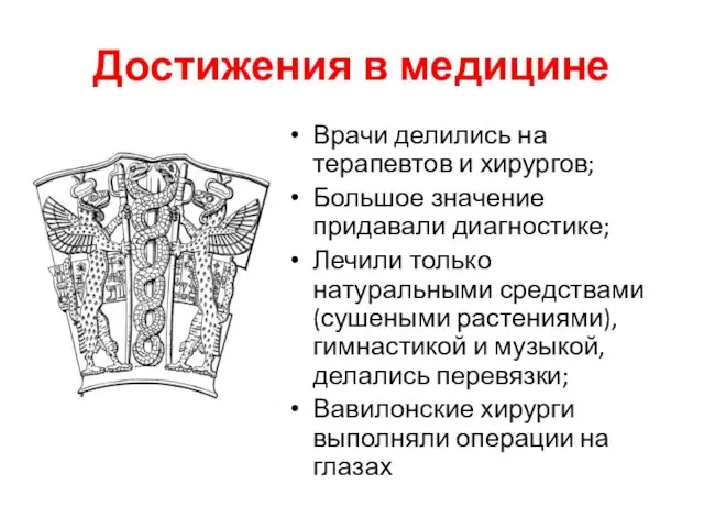 Достижения в медицине Врачи делились на терапевтов и хирургов; Большое