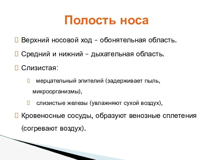 Верхний носовой ход – обонятельная область. Средний и нижний – дыхательная область. Слизистая: