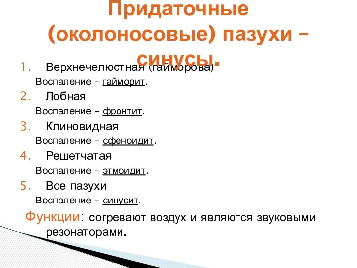 Верхнечелюстная (гайморова) Воспаление – гайморит. Лобная Воспаление – фронтит. Клиновидная